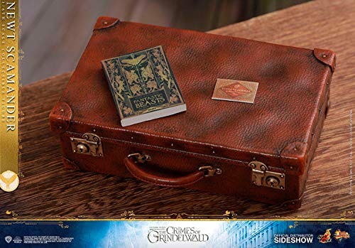 Hot Toys 1:6 Scale Newt Scamander Collectible Action Figure - Fantastic Beasts: The Crimes of Grindelwald Movie Character Model - Perfect for Display, Gift Giving, and Fantasy Collectors