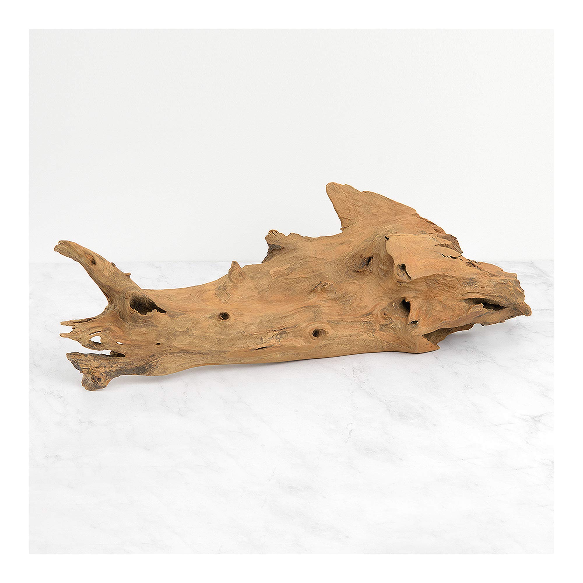 Premium Teak Root Sculpture for Home Decor - Natural Bleached Finish | Perfect for Living Room, Office & Zen Spaces