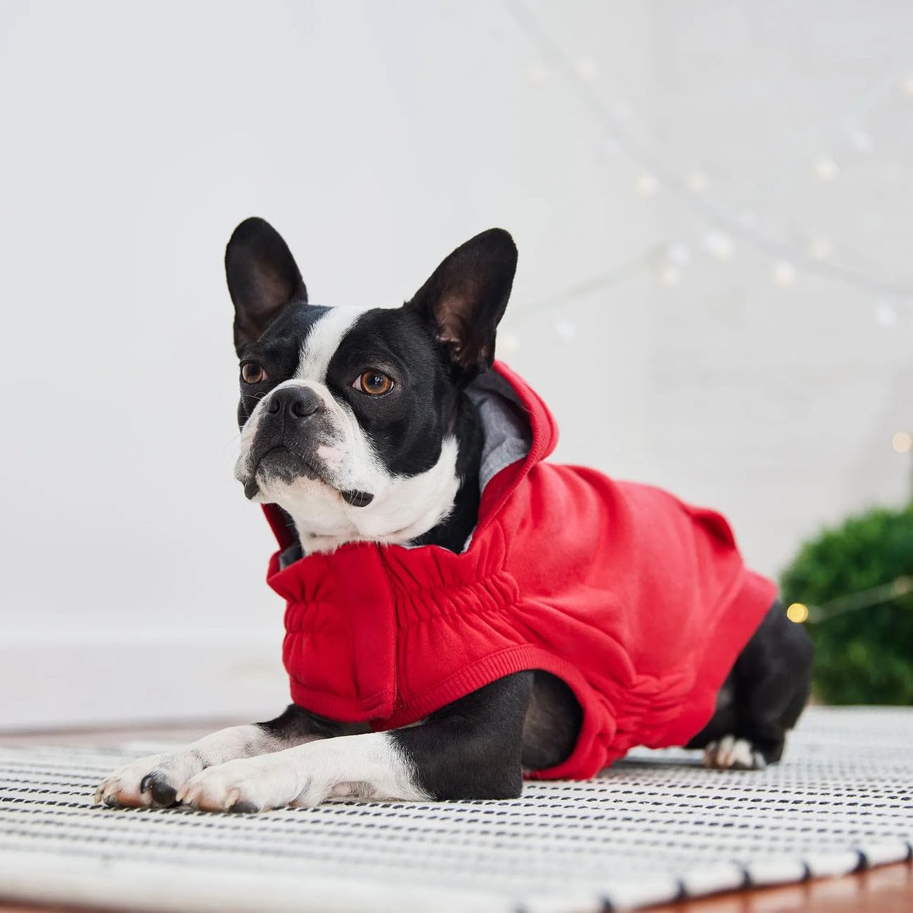Elasto-fit Urban Hoodie Dog Jacket - Soft Fleece Lined Dog Sweater for Small Medium Large Dogs | Warm & Comfortable Dog Pullover with Hood | Red 3XL - Perfect for Winter Walks & Outdoor Adventures