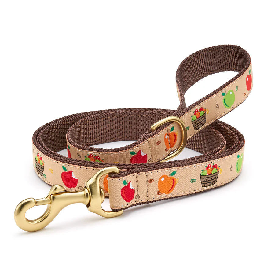 Apple of My Eye Dog Lead - Premium Soft & Adjustable Dog Leash for Small to Medium Dogs - Perfect for Walking, Training & Outdoor Adventures