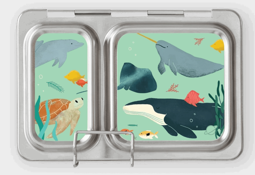PlanetBox Shuttle Bento Lunch Box for Kids - Eco-Friendly Stainless Steel Food Container with Compartments | Perfect for School, Work, Picnics & Travel