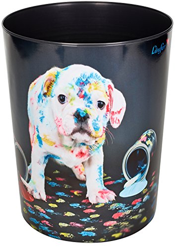 Colorful dog