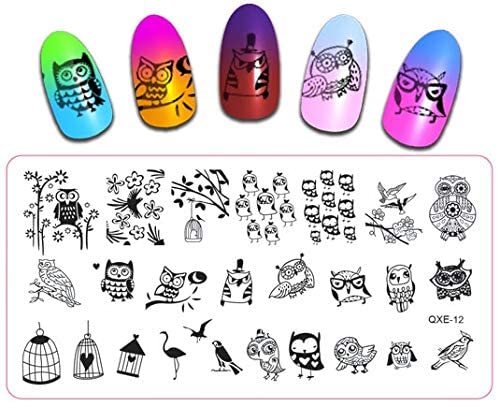STORE99® 6 * 12cm Cute Owl Bird Nail Stamping Plates - Professional Manicure Stencils for Nail Art Design | Perfect for DIY Nail Stamping, Salon Use & Gift Giving