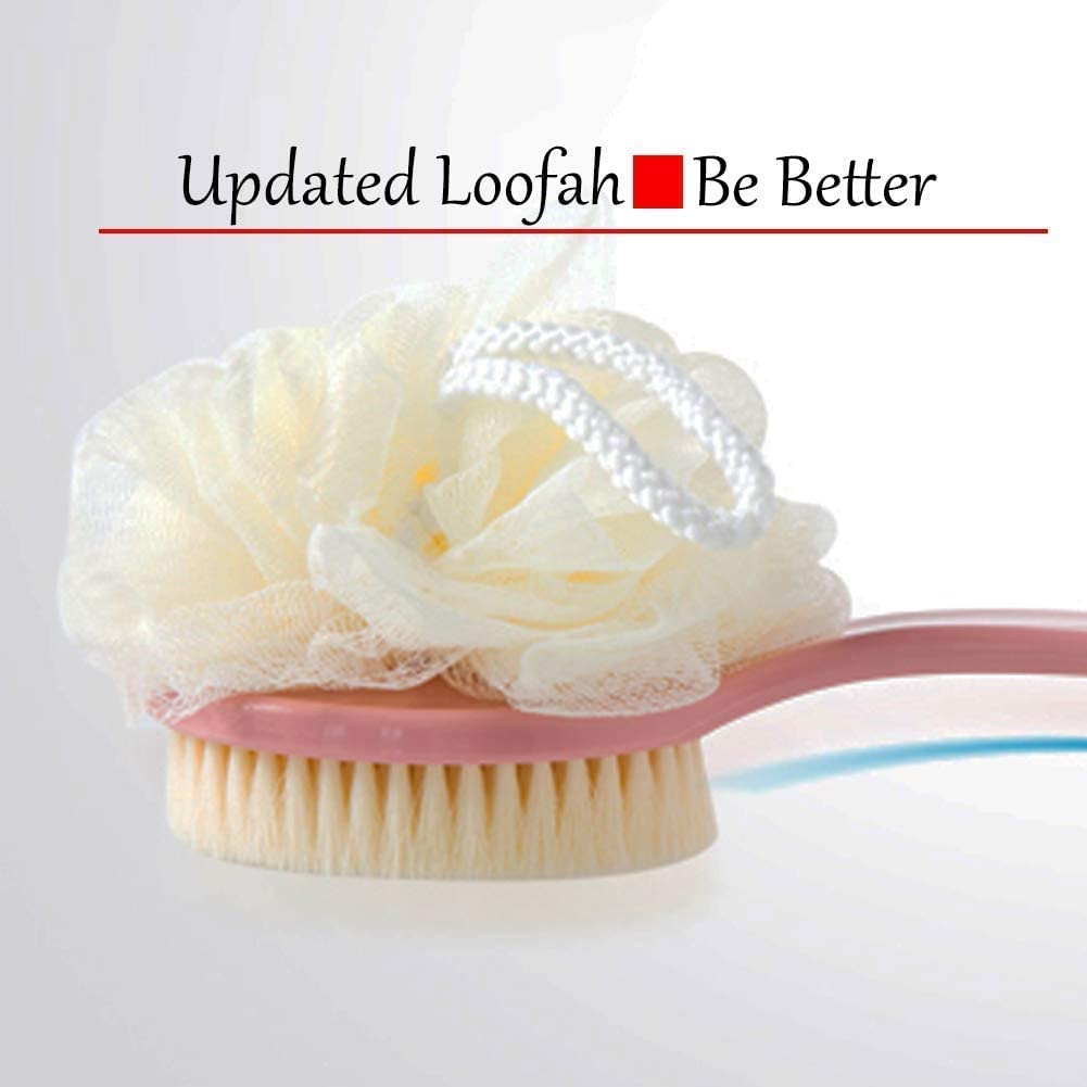 RRJ 2-in-1 Bath Brush with Soft & Firm Bristles + Loofah | Long Curved Handle Back Scrubber | Exfoliating Shower Body Brush for Wet/Dry Use | Men & Women Skin Care | ABS Plastic (Multi-Color) | Perfect for Deep Cleansing, Back Exfoliation & Spa Relaxation
