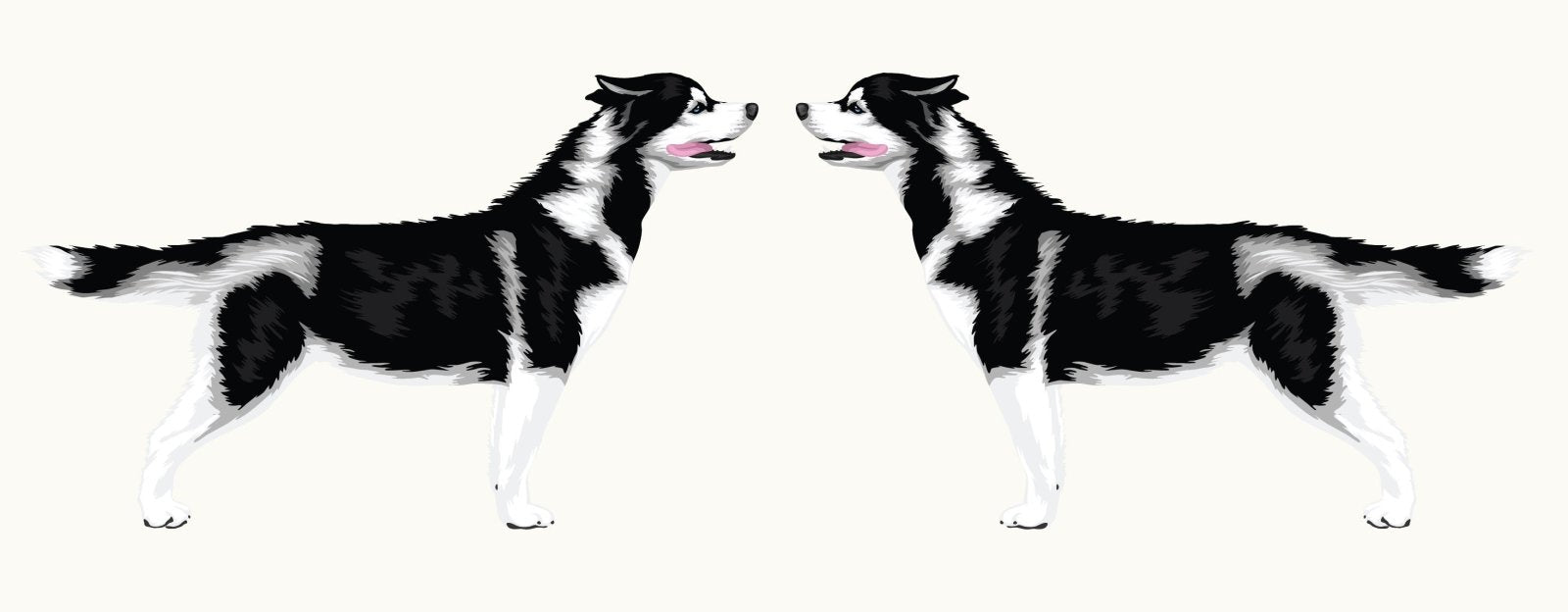 Siberian Husky Car Decal Sticker - Waterproof Vinyl for Windows, Laptops, Cars & Trucks - Perfect for Pet Lovers & Dog Enthusiasts