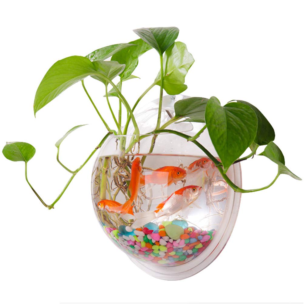 TOPINCN Acrylic Wall Hanging Fish Tank - Decorative Mini Aquarium for Betta Fish, Hydroponic Air Plants & Flowers | Perfect for Home, Office Decor & Zen Spaces