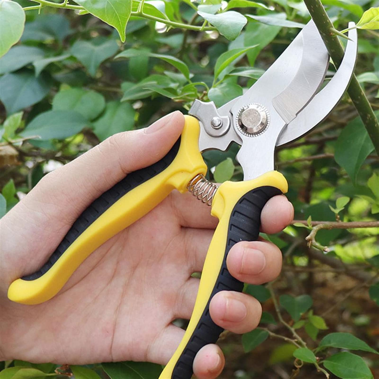 Sharp Professional Pruning Shears - Heavy Duty Garden Scissors, Tree Trimmers & Secateurs for Gardening - Ergonomic Hand Pruner for Plants, Flowers, Shrubs & Branches - Perfect for Landscaping, Home Garden & Outdoor Use