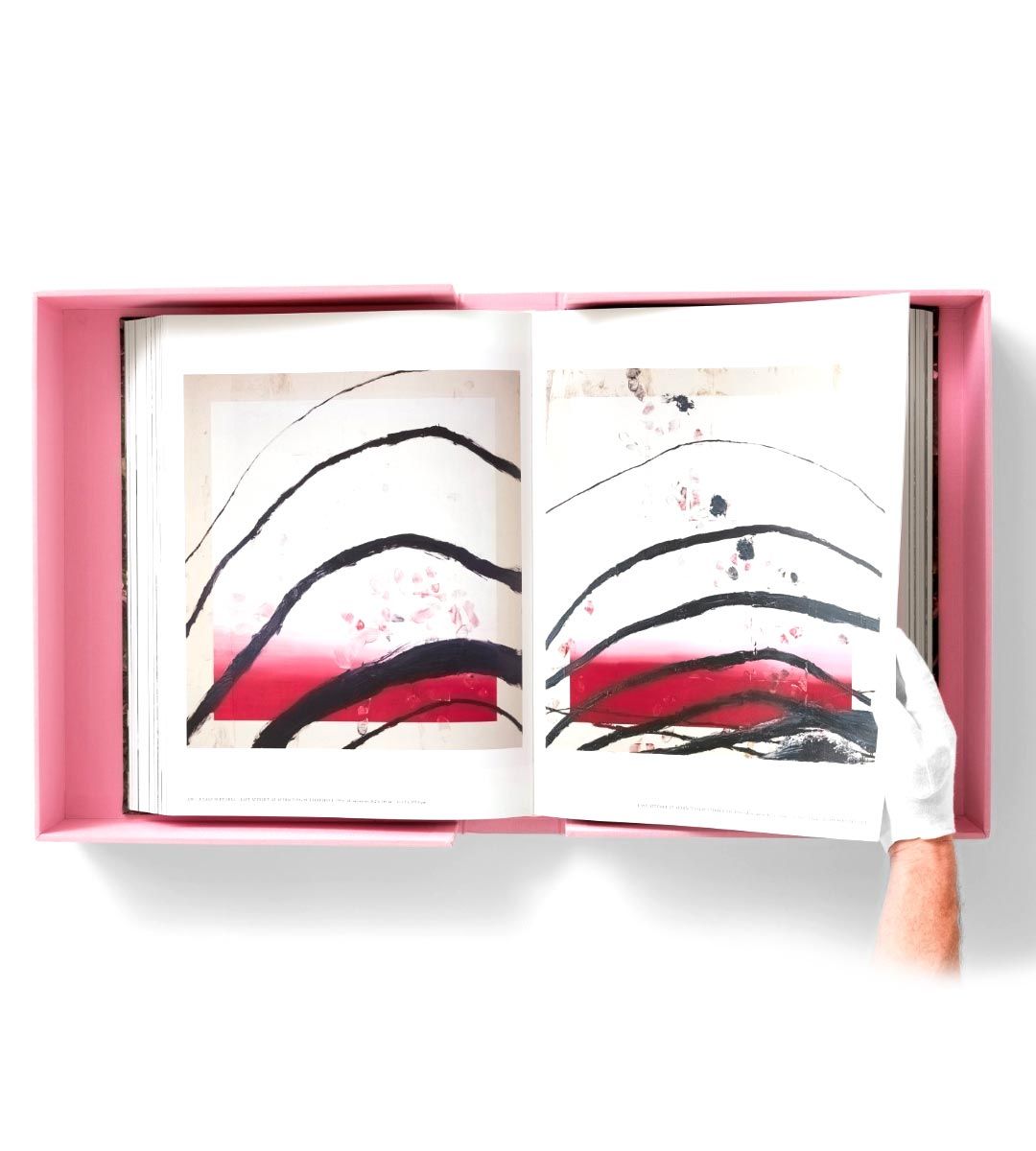 Julian Schnabel Art Prints & Paintings - High-Quality Wall Decor for Home & Office | Perfect for Living Rooms, Bedrooms & Gallery Walls