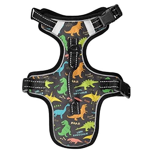Dinosaur1