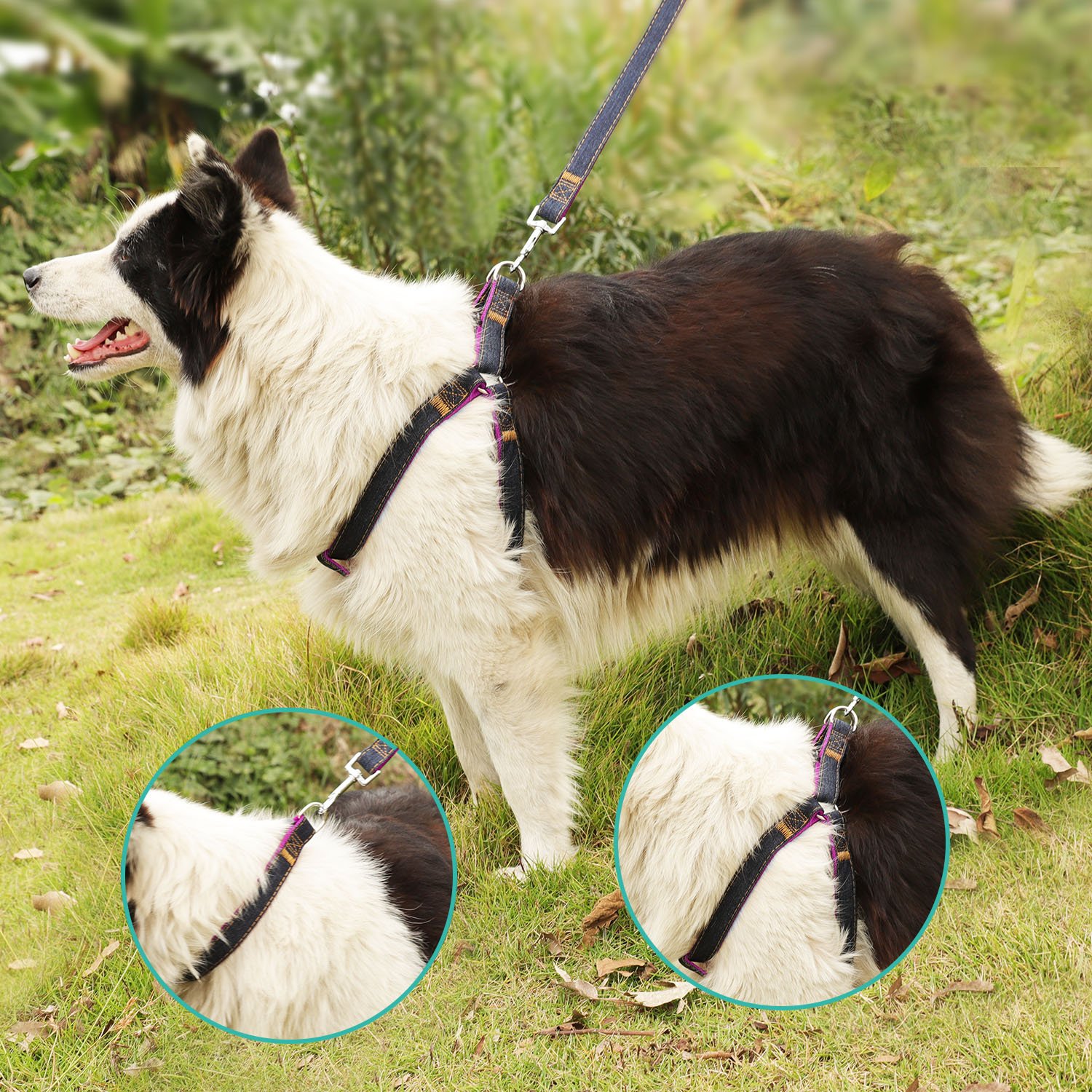 Premium Dog Harness, Leash & Collar Set - Heavy Duty Nylon with Denim Design for Small, Medium & Large Dogs (Pink) | Perfect for Walking, Training & Outdoor Adventures