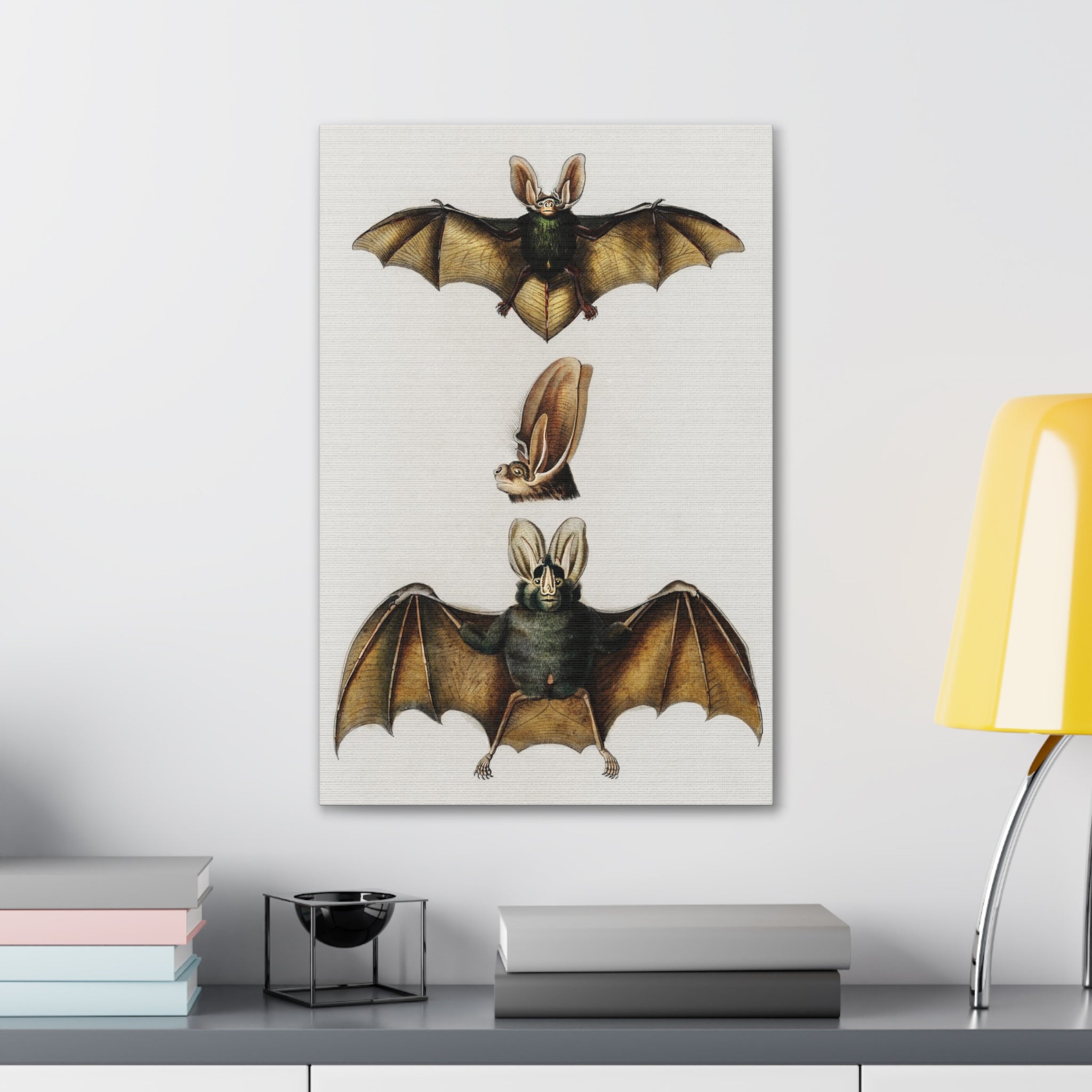 Plecotus Bat Art Print by Charles Dessalines - Stunning Canvas Wall Decor for Home, Office & Gifts | Wildlife Illustration | Nature-Inspired Decor