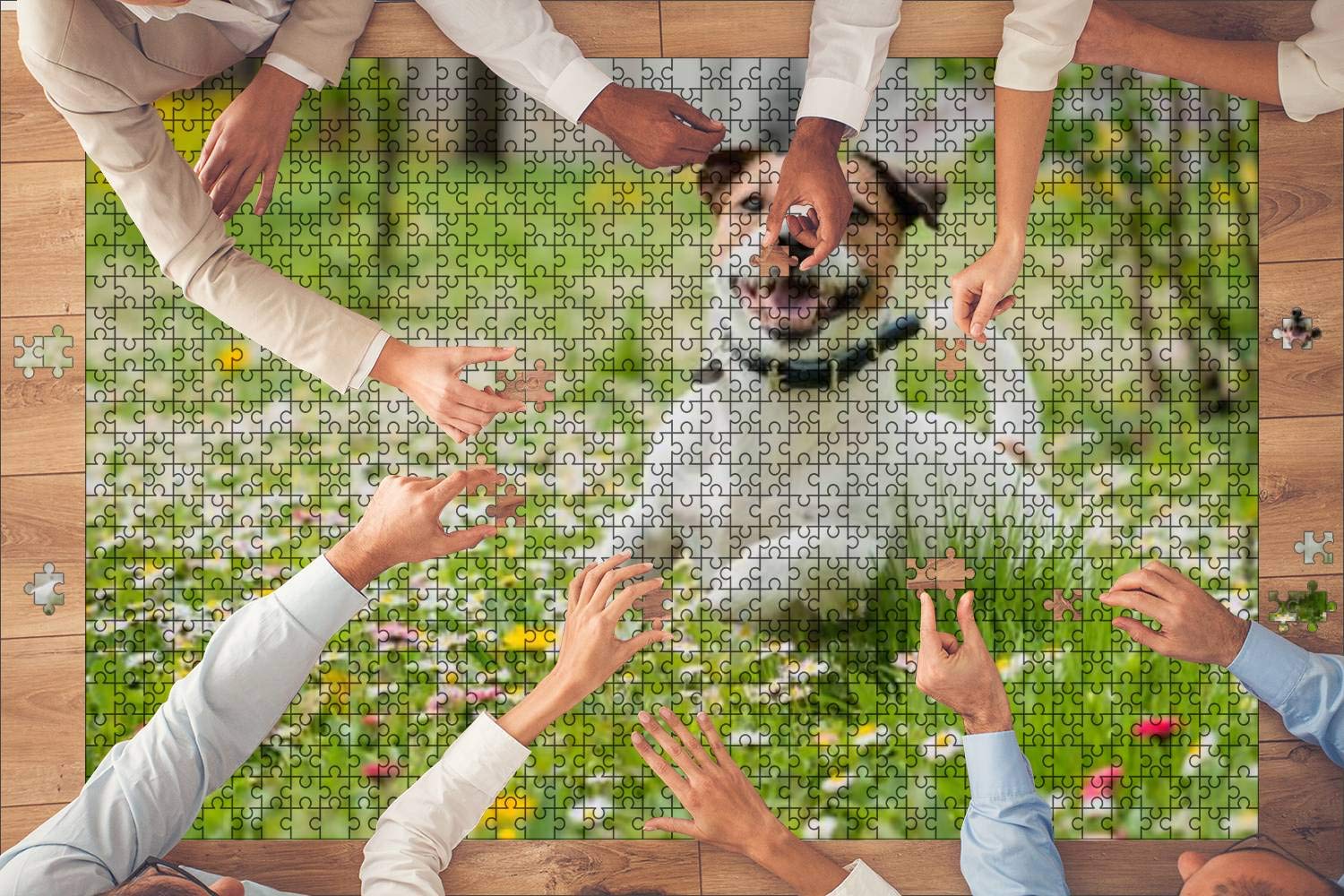 1000-Piece Wooden Jigsaw Puzzle - Spring Scene with Happy Dog Playing on Flowers in Green Grass | Educational Toy for Kids & Adults | Stress Relief Game | Perfect for Family Game Night & Classroom Activities