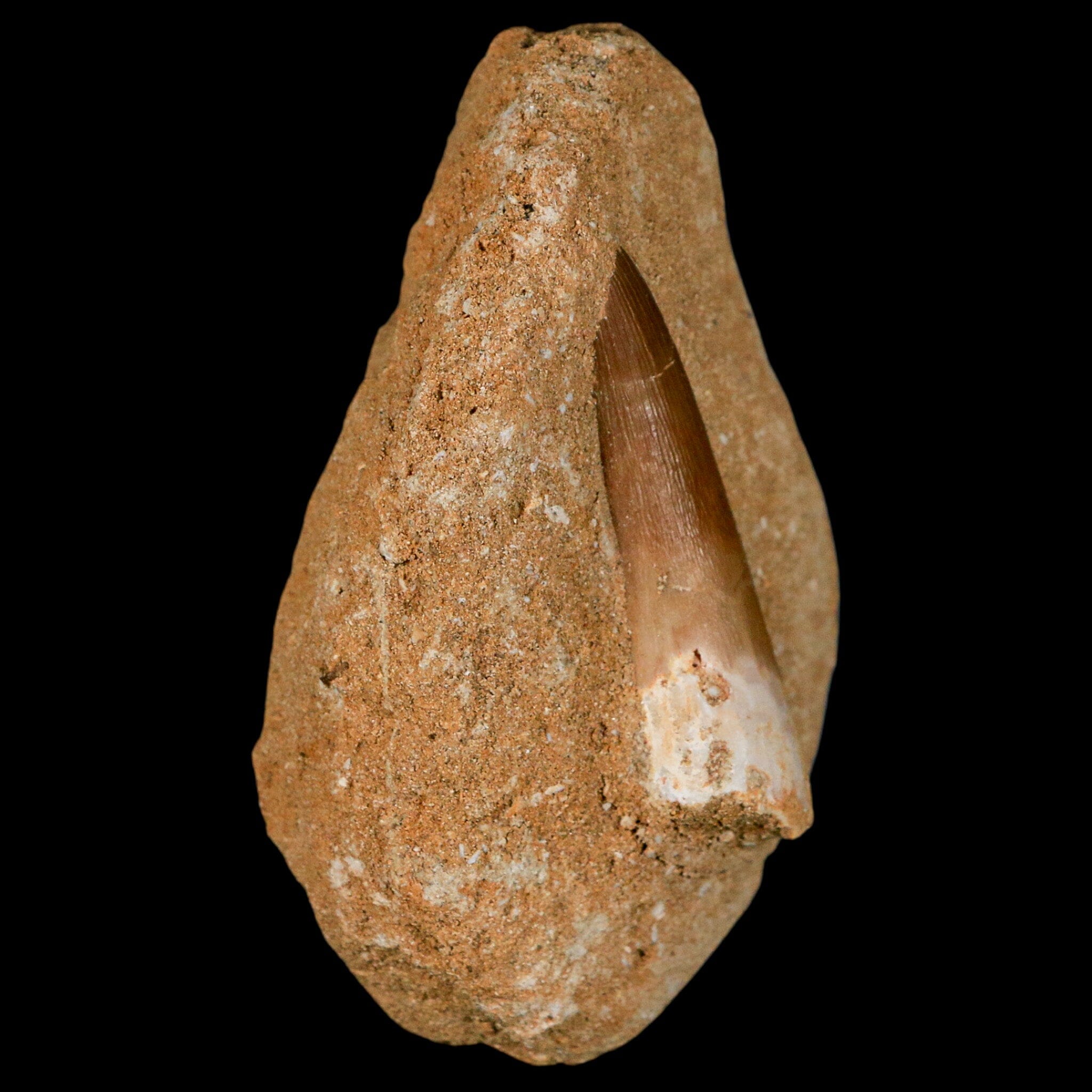 1.9