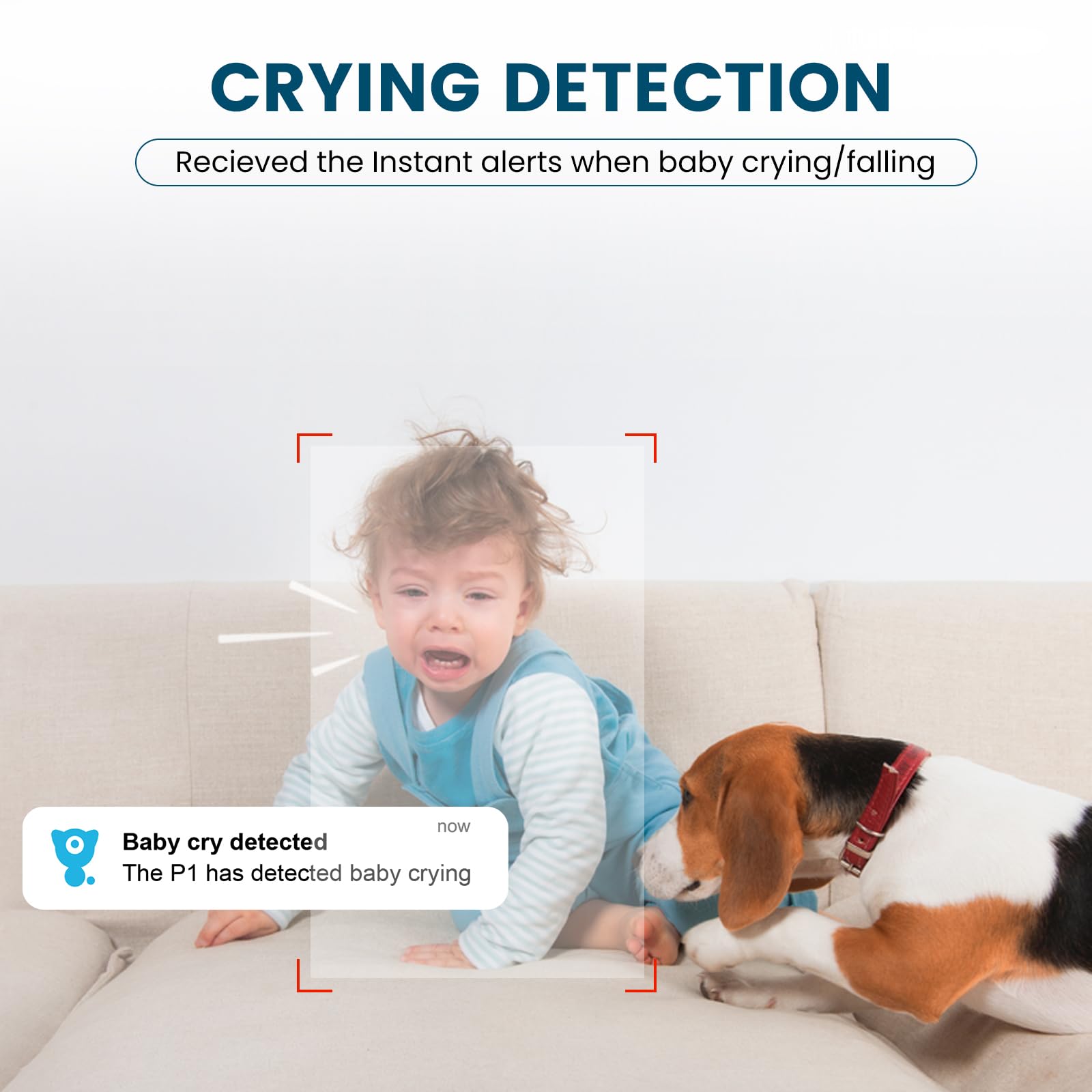 Litokam 5MP Indoor Security Camera - 2.4/5GHz Dual Band WiFi Pet & Baby Monitor - Alexa Compatible Home Surveillance Camera for Dogs, Babies & Home Protection - Perfect for Nursery, Living Room & Pet Areas