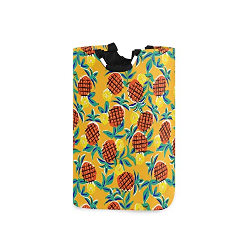 Pineapple 065