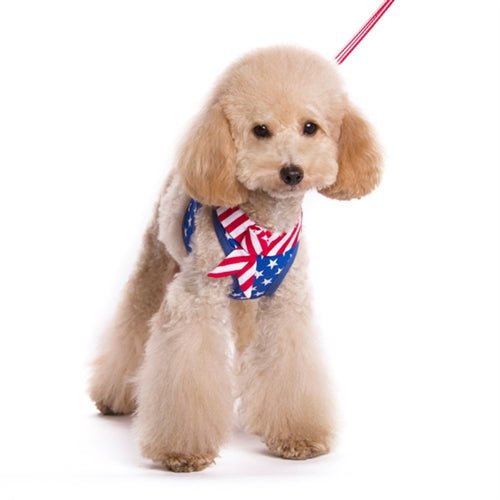EasyGO USA Step-in Dog Harness - Adjustable & Reflective Pet Vest for Small to Large Dogs - Perfect for Walking, Running & Outdoor Adventures