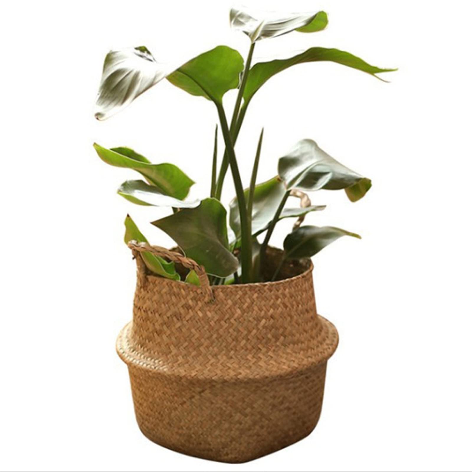 Eco-Friendly Natural Seagrass Storage Basket - Round Handwoven Plant Pot Holder, Biodegradable Laundry & Grocery Organizer for Home Decor, Picnic, and Sustainable Living