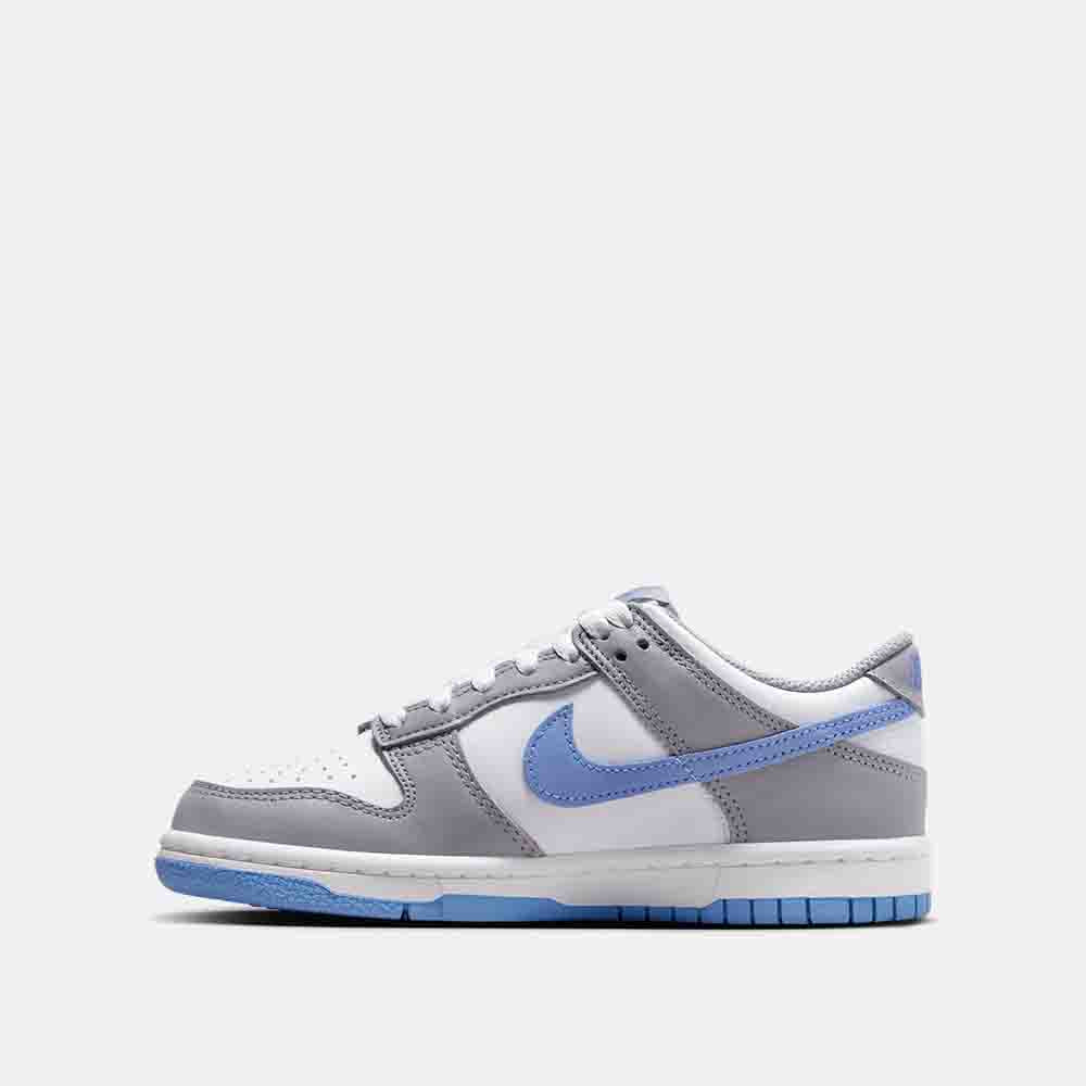 Nike Dunk Low Retro 6 Men's Basketball Shoes - Classic Sneakers for Casual Wear, Street Style & Everyday Comfort