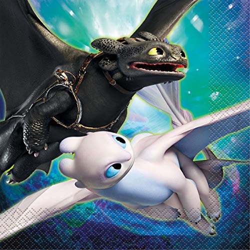 How to Train Your Dragon Birthday Party Supplies - 16-Piece Decoration Set with Plates, Napkins, Cups, Table Cover, Banner & Stickers - Perfect for Kids' Themed Parties & Celebrations