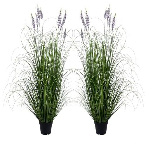 Lavender5ft-(2pack)