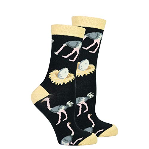 Ostrich
