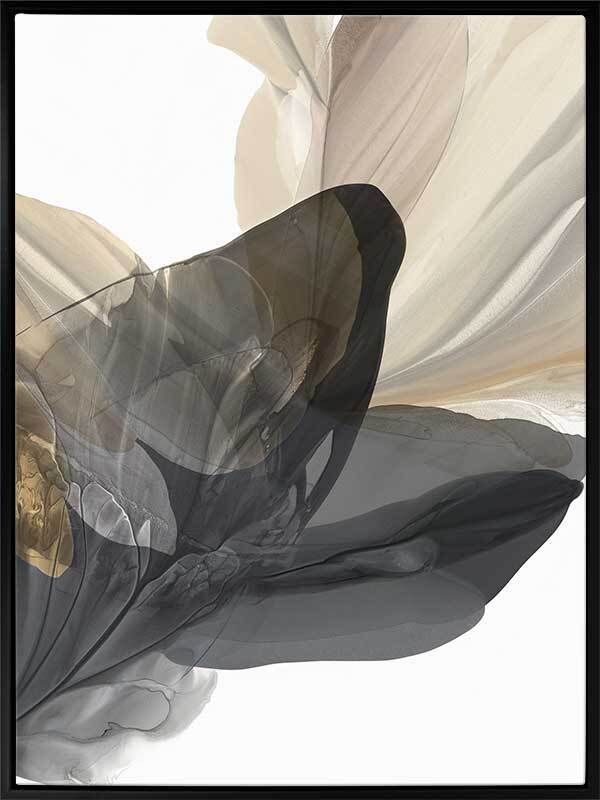 Fall from Grace II Canvas Art Print - Modern Wall Decor for Living Room, Bedroom & Office - Premium Gallery Wrapped Ready to Hang