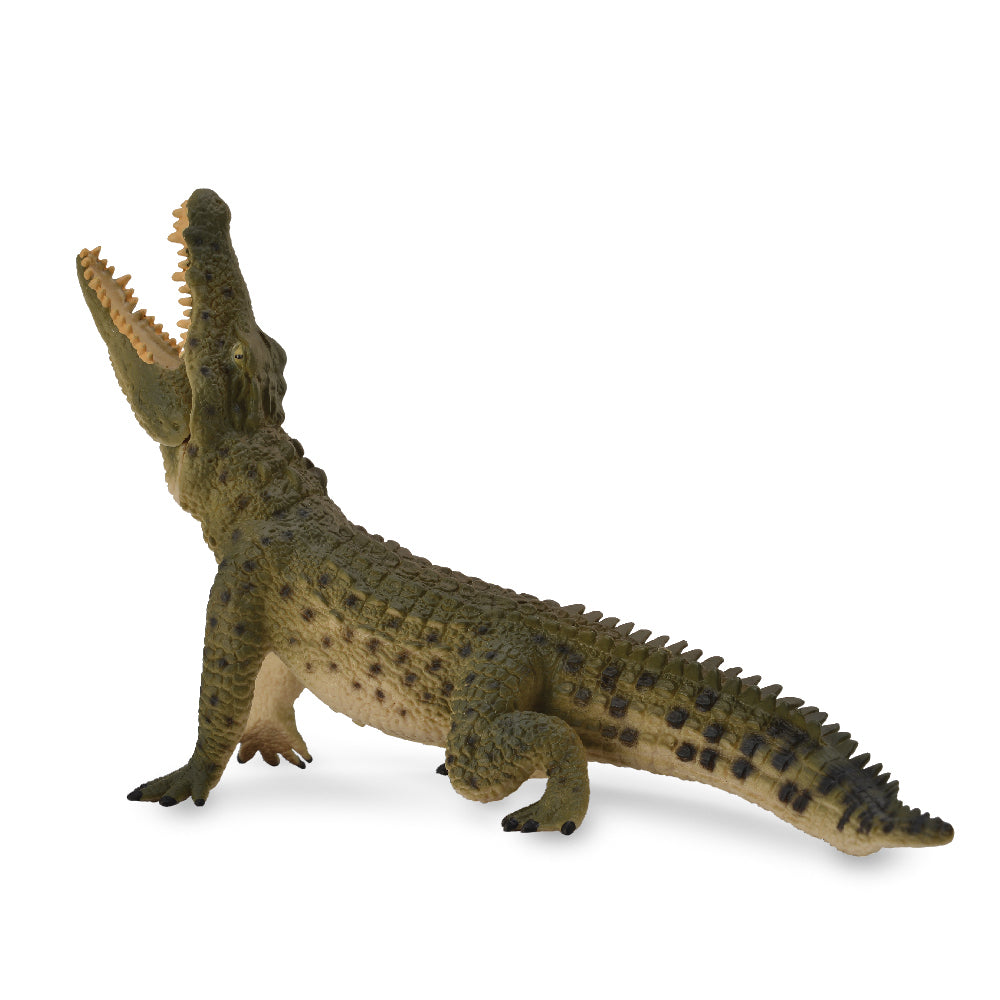 CollectA Wild Animal Figurine - Realistic Leaping Crocodile Toy for Kids, Dinosaur Enthusiasts & Collectors | Perfect for Playtime, Educational Learning, and Diorama Displays