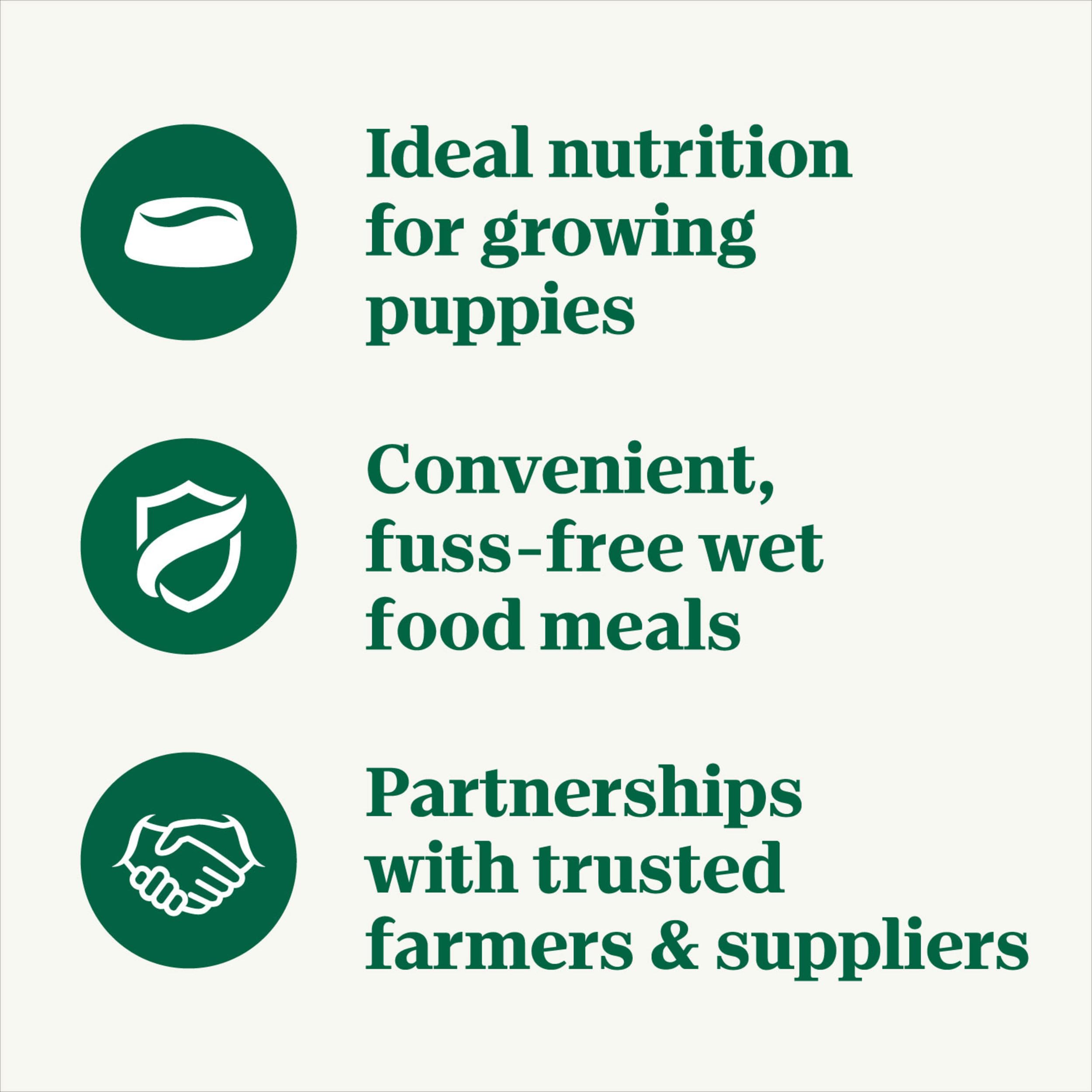 Nutro Grain Free Puppy Wet Dog Food - Tender Beef, Pea & Carrot Recipe in Gravy - 3.5 oz Trays (24 Count) | Natural Puppy Food for Small & Medium Breeds | Perfect for Training, Mealtime & Digestive Health