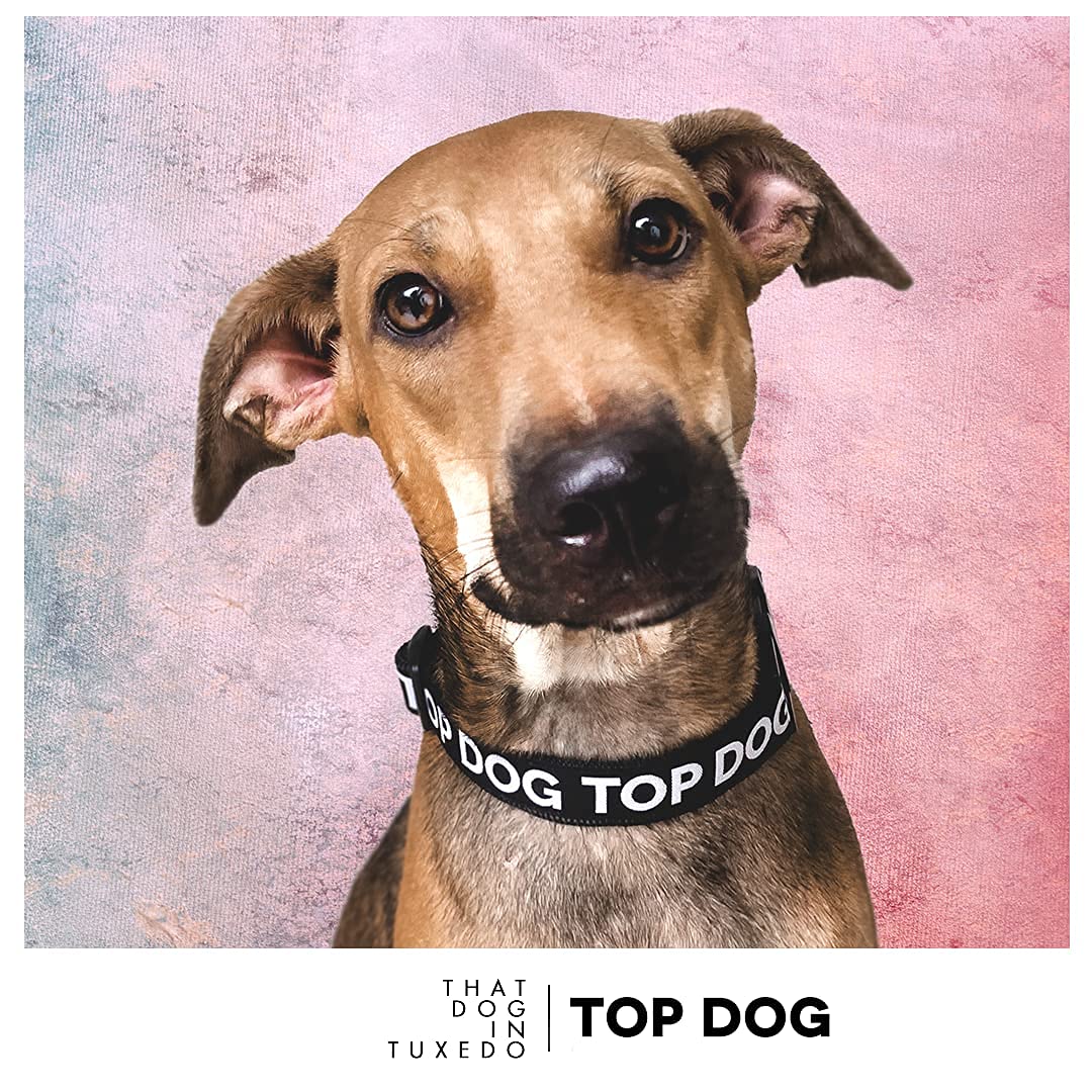 Premium Adjustable Strong Dog Collar - Tuxedo Style for Large Dogs (Black, XL) - Perfect for Weddings, Parties & Formal Events