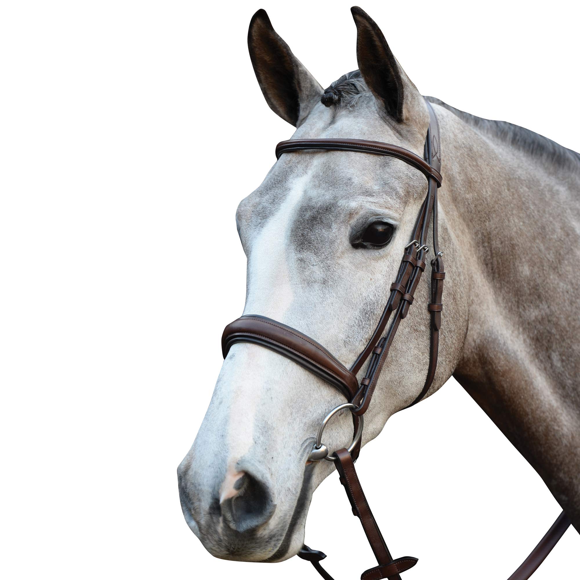 Brown Mono Crown Padded Raised Cavesson Bridle - Full Size for Equestrian Riding