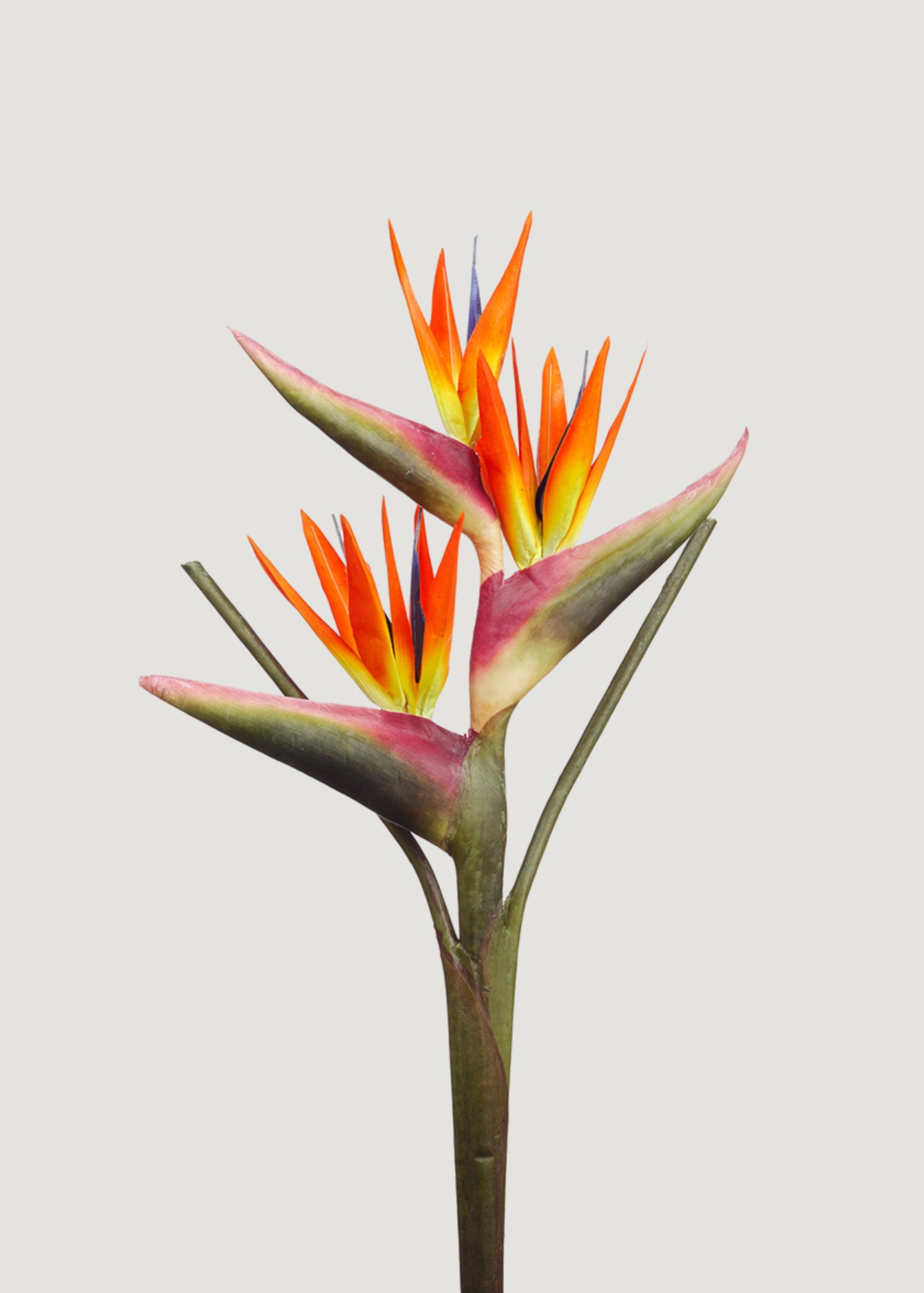 Large Bird of Paradise Artificial Tropical Plant - 28
