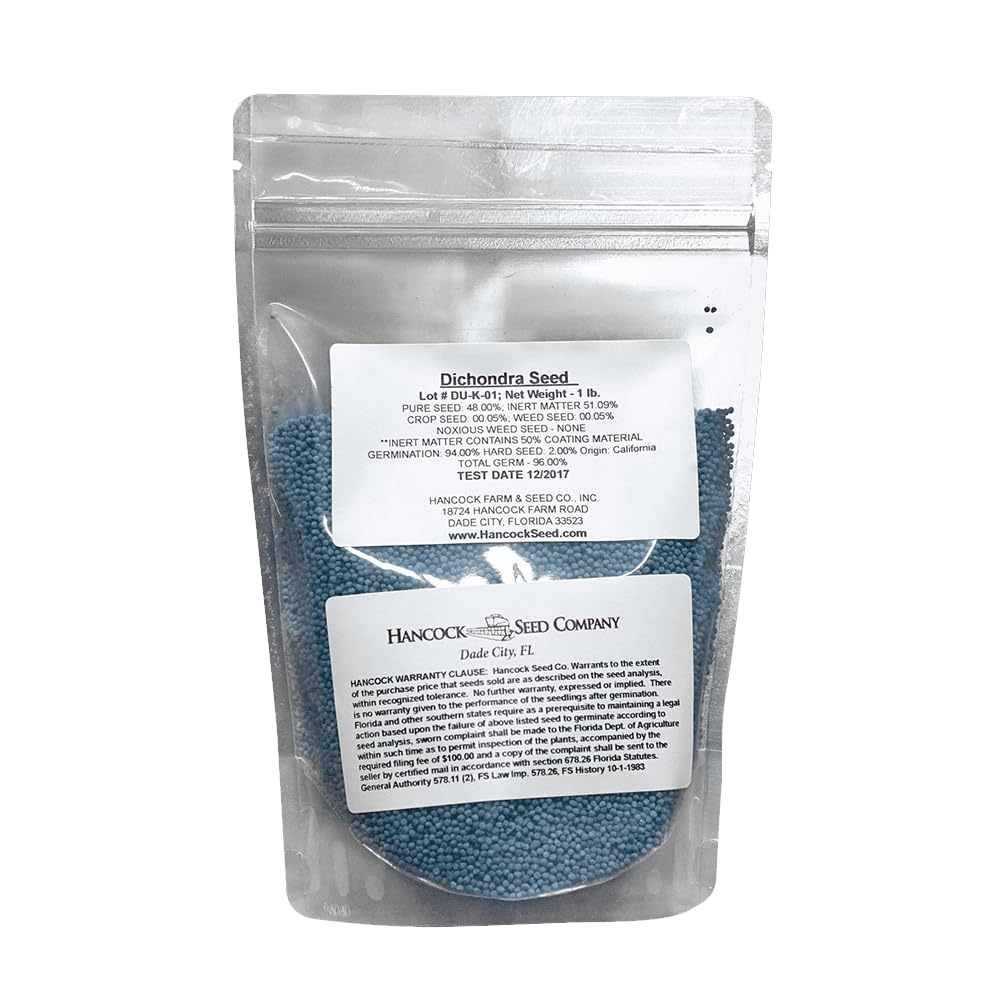 Hancock Seed Co. Dichondra Grass Seeds - 25 lbs Bulk Bag for Lawn, Ground Cover & Landscaping | Drought-Tolerant, Low-Maintenance Ground Cover Solution for Gardens, Parks & Commercial Landscapes