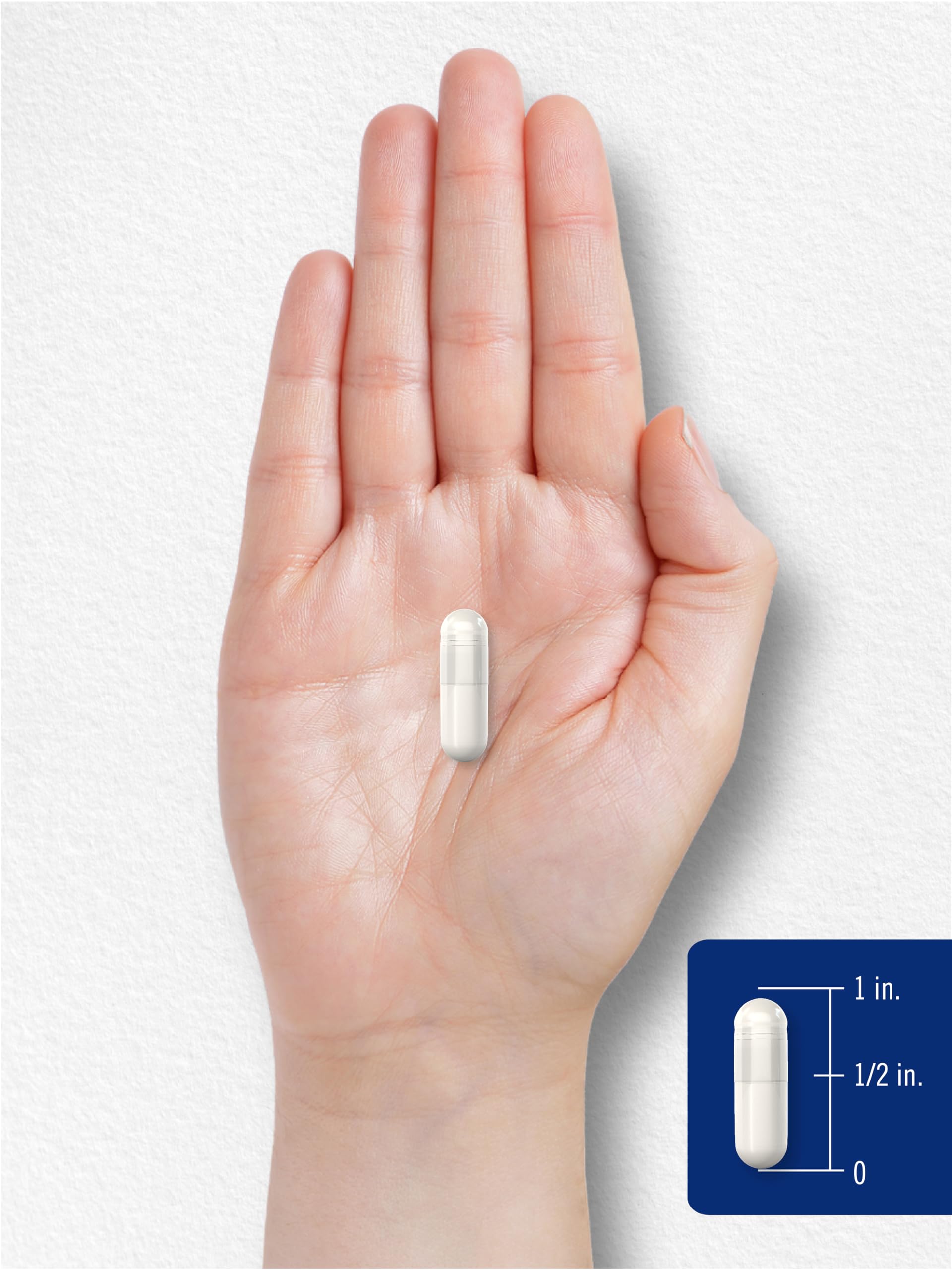 Carlyle Potassium Magnesium Supplement 90 Capsules | High Absorption, Vegetarian, Non-GMO, Gluten Free | Supports Muscle Function, Heart Health & Energy Boost for Active Lifestyles