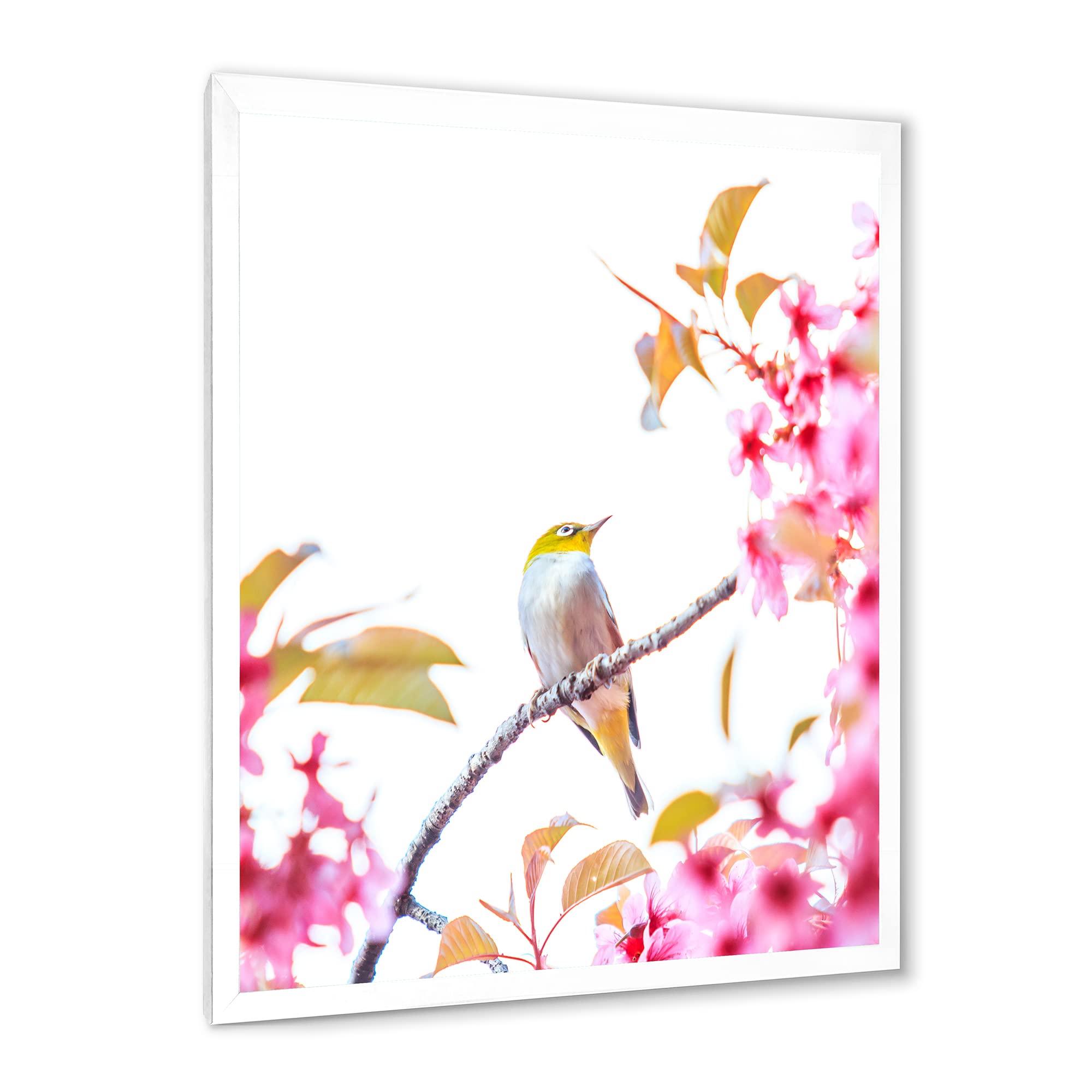 DesignQ Traditional Framed Wall Art - Cherry Blossom with Bird Painting - Home Decor for Living Room, Bedroom & Office