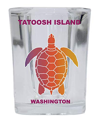 TATOOSH ISLAND Washington Square Shot Glass with Rainbow Turtle Design - Perfect for Barware, Gifts & Collectibles (2oz) | Great for Parties, Home Decor & Souvenirs