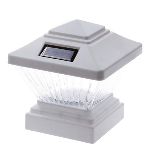 white - 12 pack