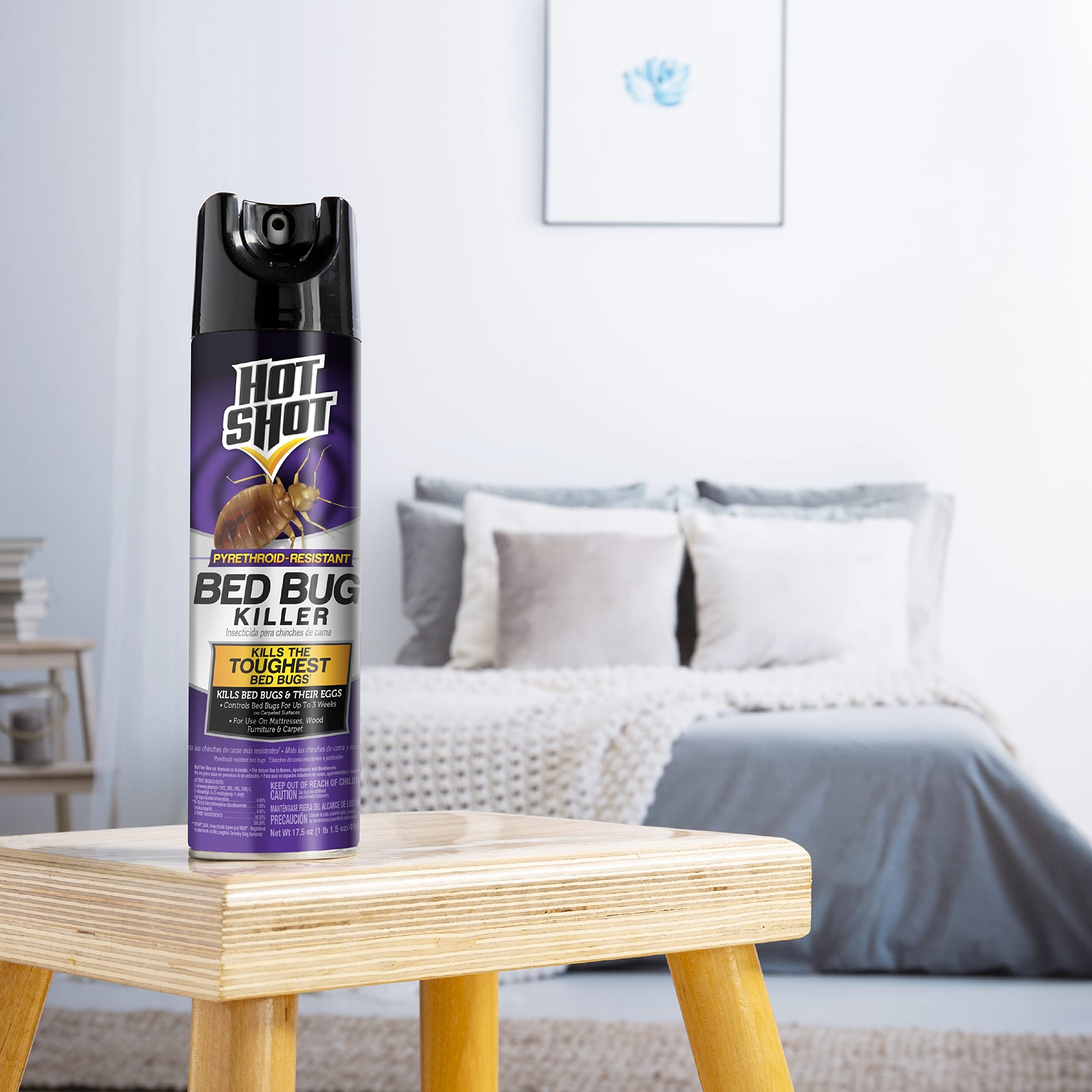 Hot Shot Bed Bug Killer Aerosol Spray - 12 Pack Case | Fast-Acting Insecticide for Mattresses, Furniture & Travel | Kills Bed Bugs & Eggs on Contact | Home, Hotel & Apartment Use