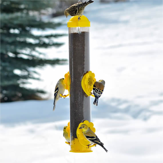 Bright Yellow Select A Finch Tube Bird Feeder - Attract Finches to Your Garden or Backyard - Perfect for Outdoor Bird Watching & Nature Lovers