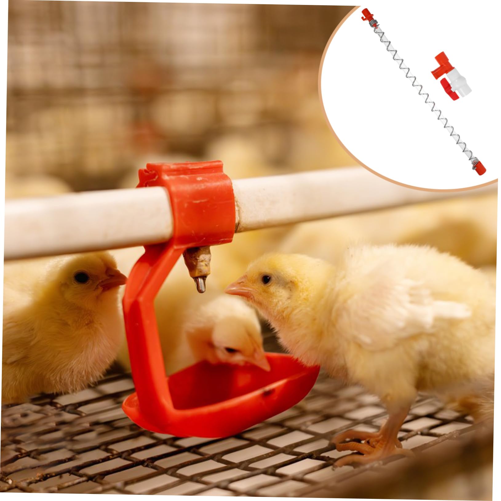 KITANDOVE End Valve & Pressure Regulator with Water Level Display - Essential for Coop Farm Water Supply Systems in Poultry Farming