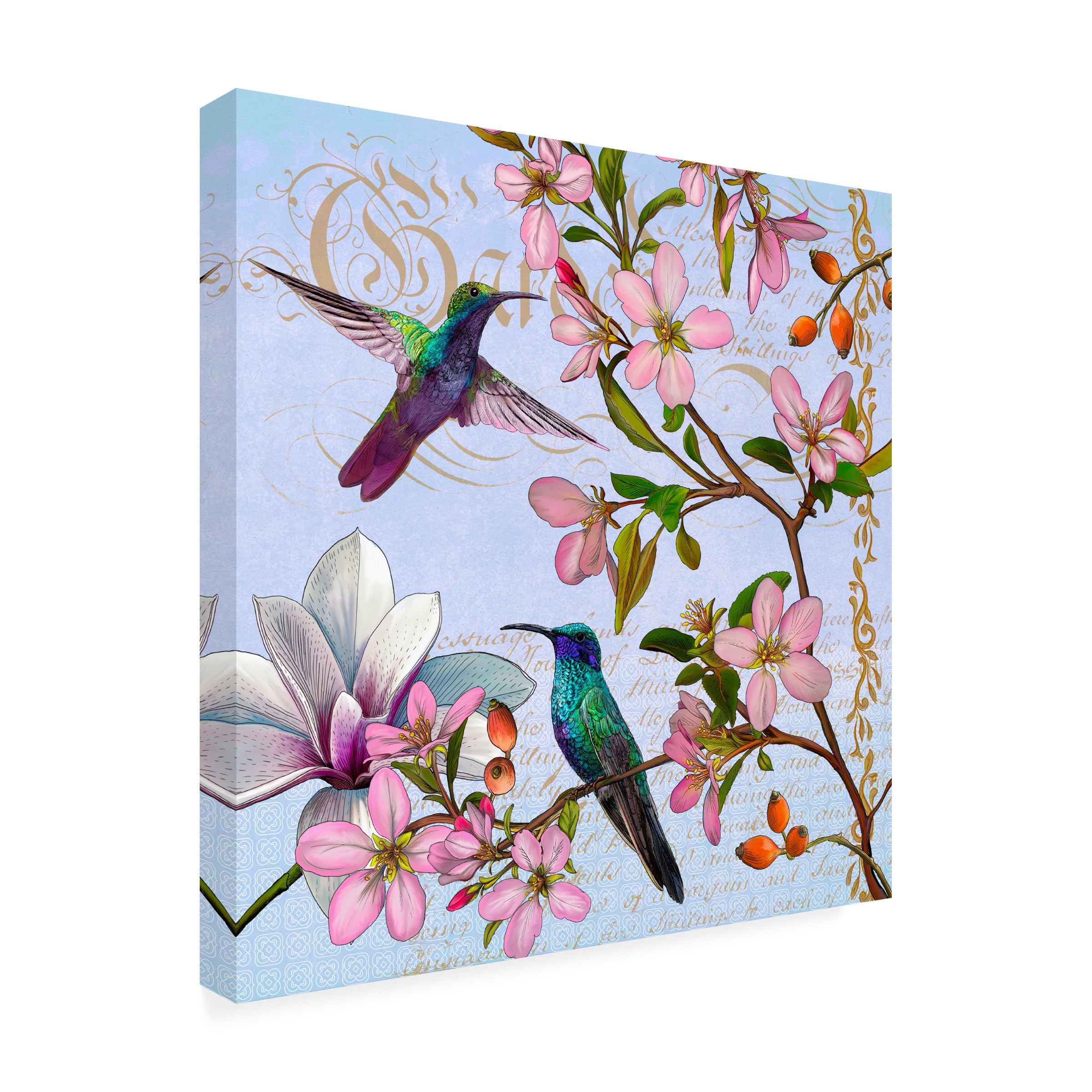 Trademark Fine Art 'Hummingbird Botanical' Canvas Wall Art Print - Vibrant Floral & Bird Painting for Living Room, Bedroom, Office Decor