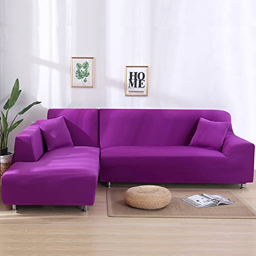 Purple-1