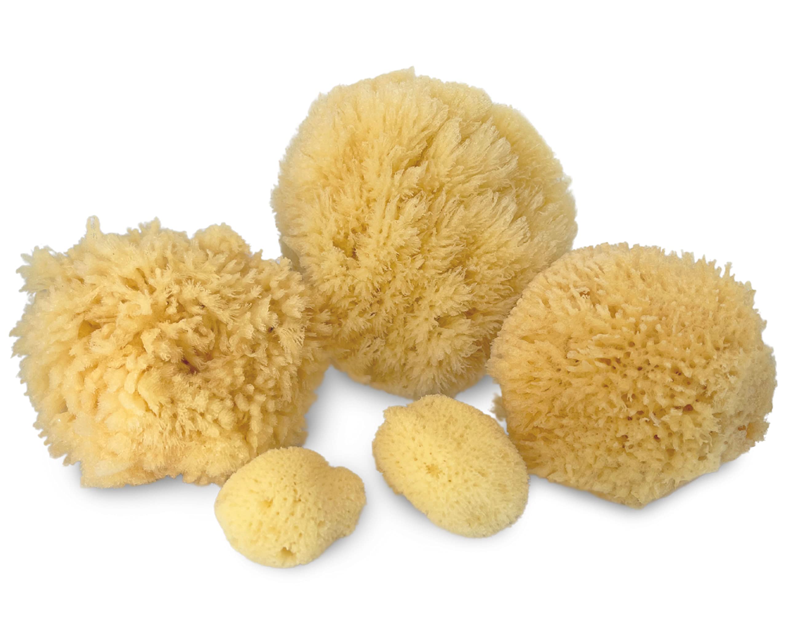 **Premium 5-Piece Natural Sea Sponge Set for Bath, Shower & Facial Cleansing – Gentle on Skin, Spa Gift for Moms, Brides, Teens & Girlfriends – Includes Luxury Bag – Perfect for Self-Care & Relaxation**