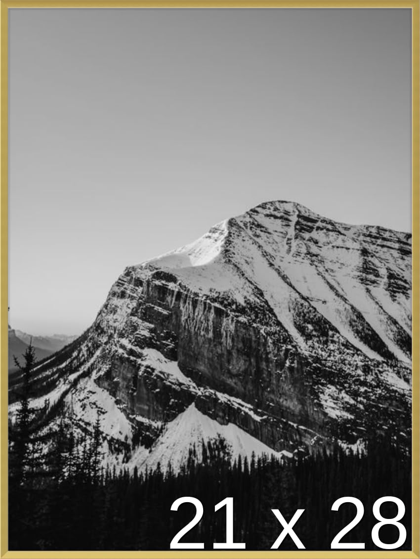 Frame It Easy 21 x 28 Inch Satin Gold Metal Picture Frame - Ashford Collection - Perfect for Wall Art, Photos, and Home Decor