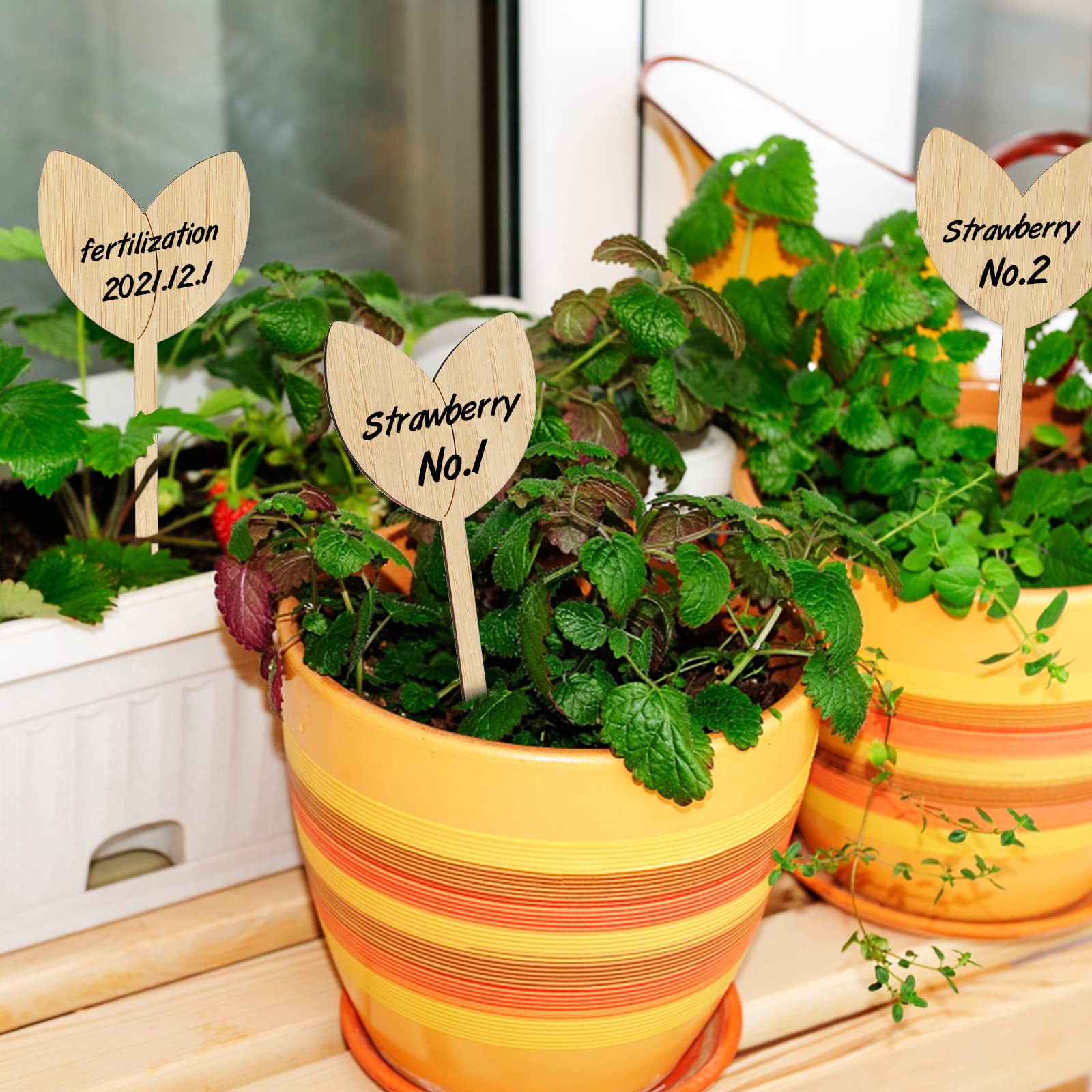 KINGLAKE GARDEN 60 PCS Bamboo Plant Labels - Reusable Garden Markers for Vegetables, Herbs & Potted Plants with Permanent Marker - Perfect for Outdoor Gardening, Indoor Planting & Seed Organization