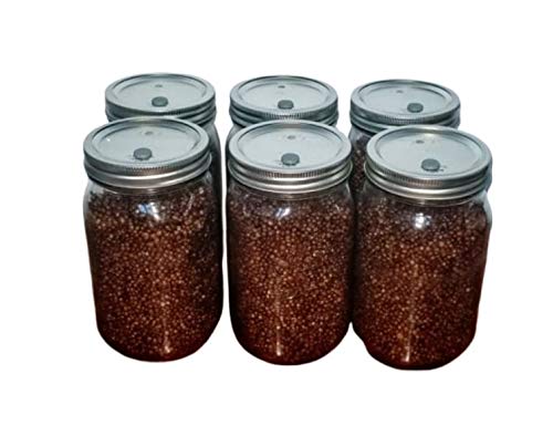 Sterilized Milo Grain Mushroom Substrate - 6 Pack with Self-Healing Injection Port & Filter Patch - Ready to Use for Mushroom Cultivation - Perfect for Home Growers, Mycology Labs, and Gourmet Mushroom Farming