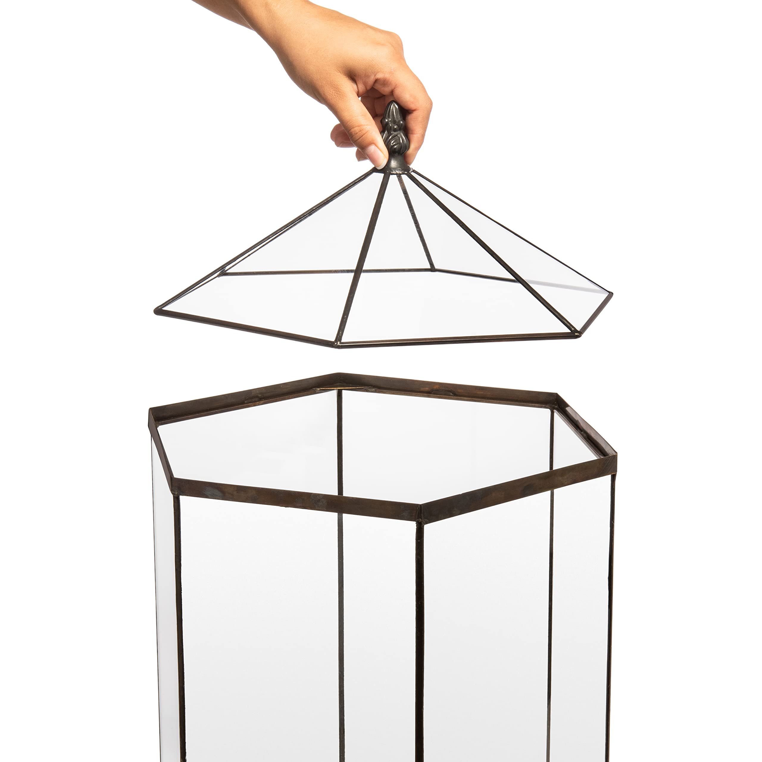 H Potter Large 6-Sided Glass Terrarium Wardian Case - Perfect for Indoor Plants, Succulents & Home Decor