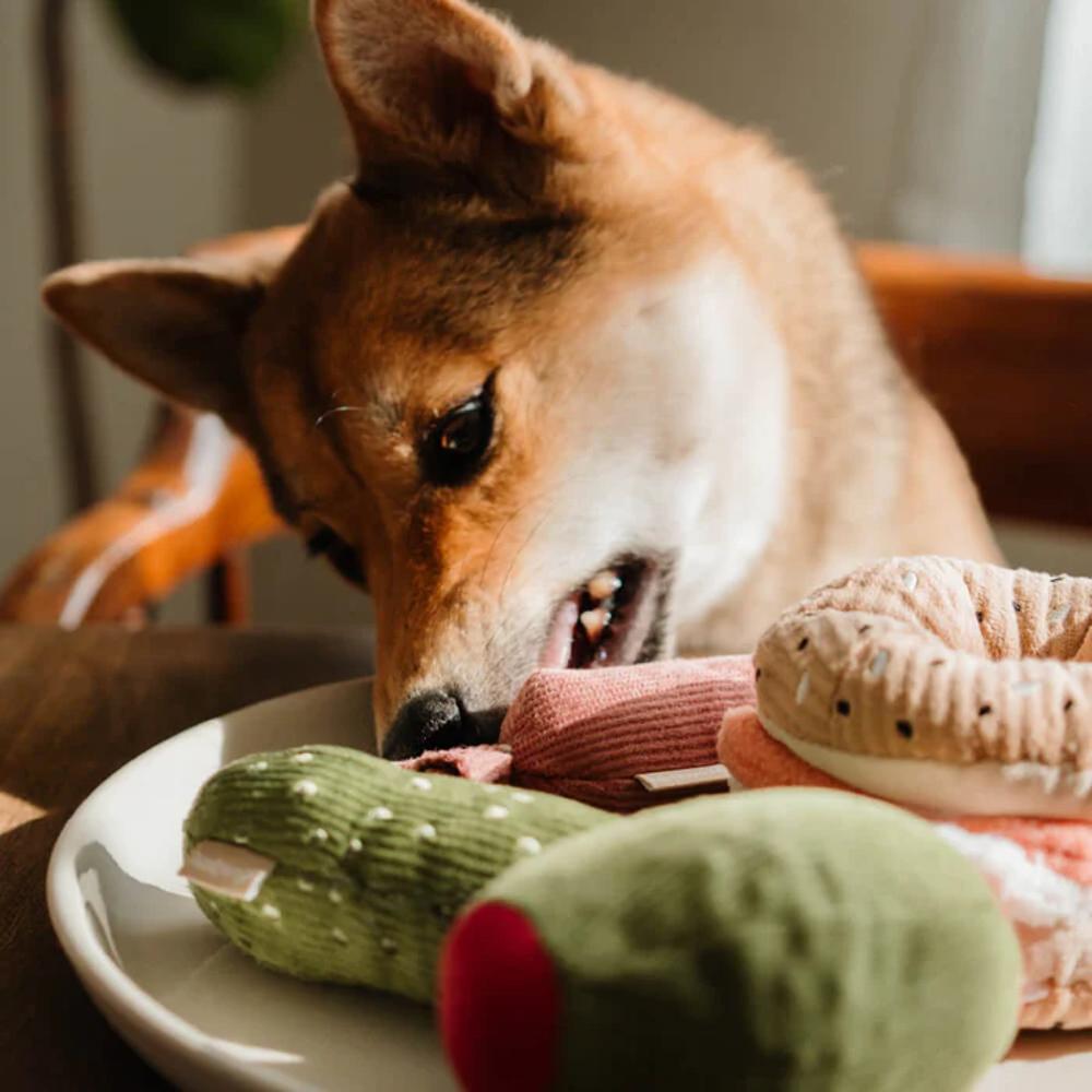 Snuffle Bagel with Pickle Dog Toy - Interactive Scented Chew Toy for Small & Medium Dogs - Perfect for Boredom Relief & Mental Stimulation | Great for Indoor Play & Training Rewards