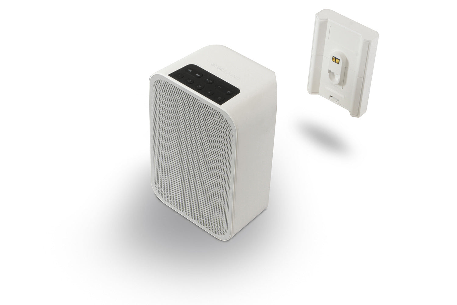 Bluesound Pulse Flex Battery Pack - Portable Power for Wireless Speaker | Perfect for Outdoor, Travel & Home Use