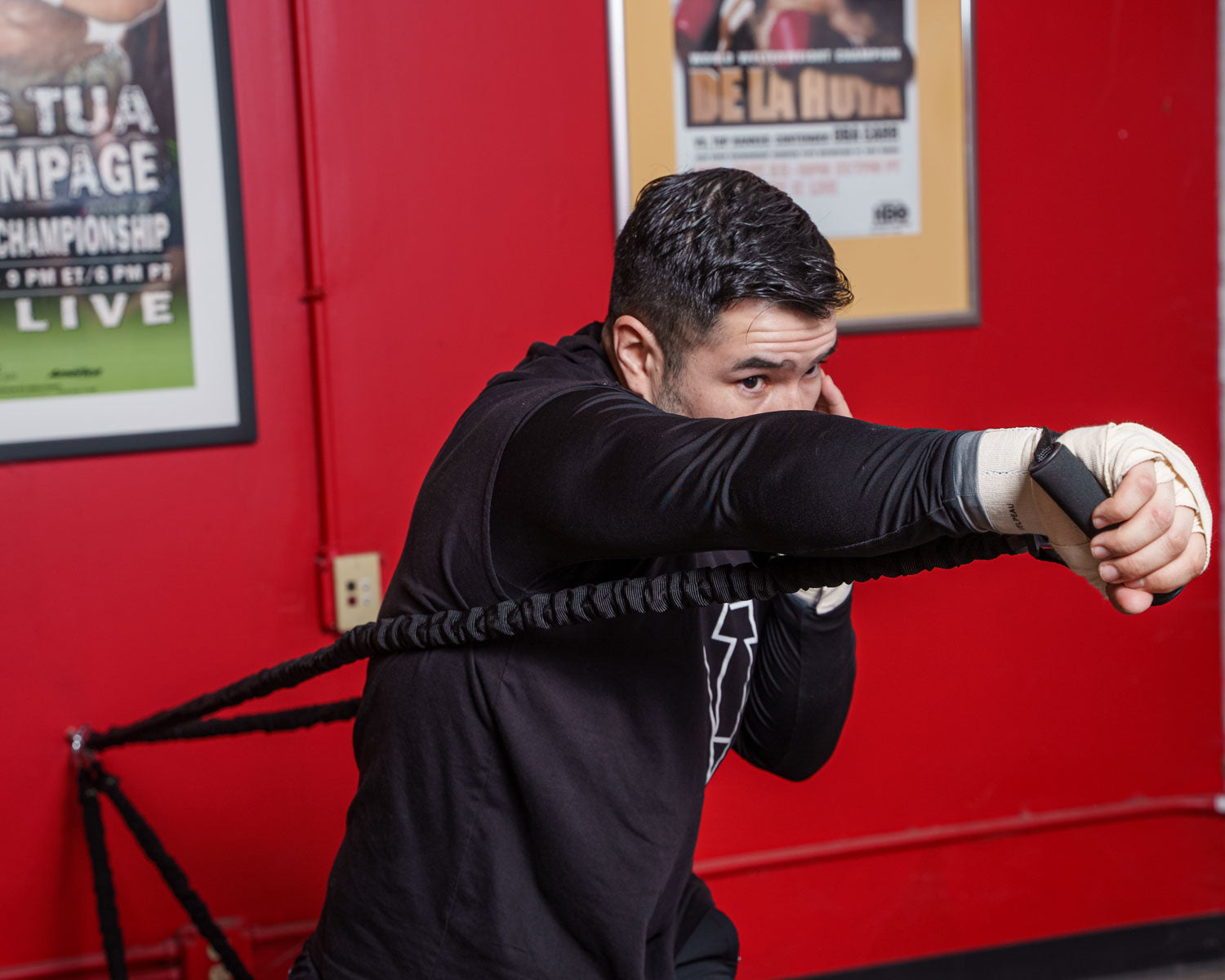 TITLE Boxing Powerquad Resistance System - Heavy Duty Training Equipment for Boxing, MMA & Fitness - Improve Strength & Endurance for Home & Gym Workouts