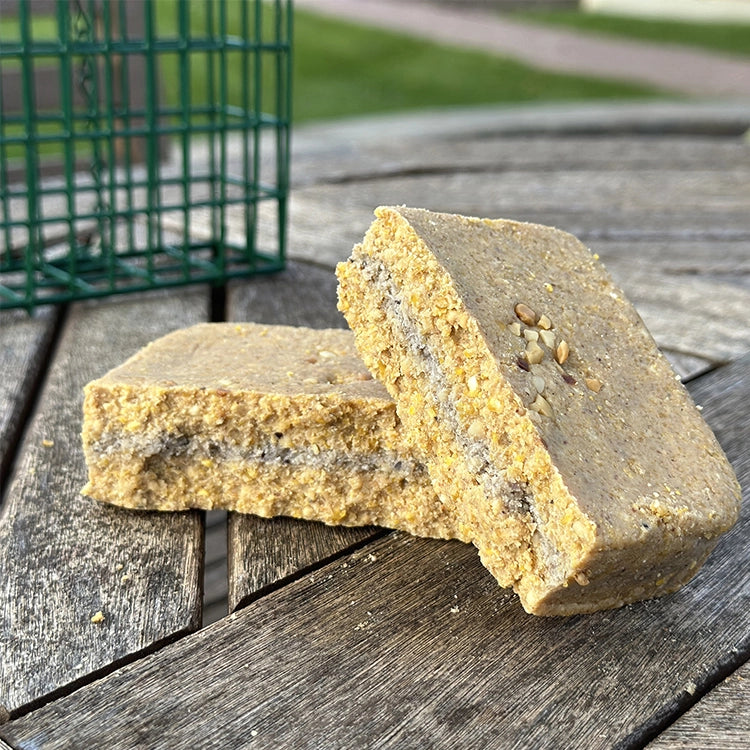 Energy+ Suet Cakes with Peanut Butter Filling - High Protein Wild Bird Food, 12 Pack - Attract Woodpeckers, Bluebirds & Backyard Birds - Perfect for Winter Feeding & Bird Watching